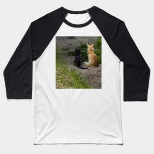 Ginger and black cats sit side by side in the grass and look from the stairs. View from the back Baseball T-Shirt